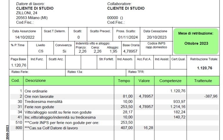 come compilare un fac simile di busta paga per colf