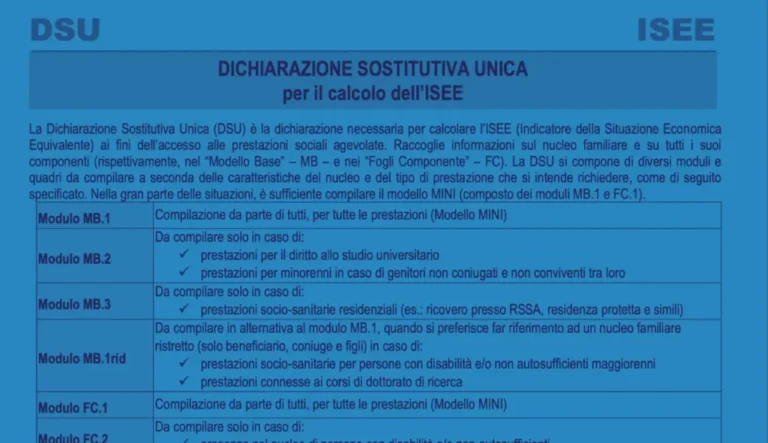 come fare lisee quali passaggi seguire per compilarlo correttamente