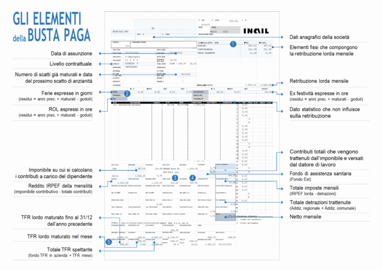 come leggere una busta paga guida facile per comprendere le voci