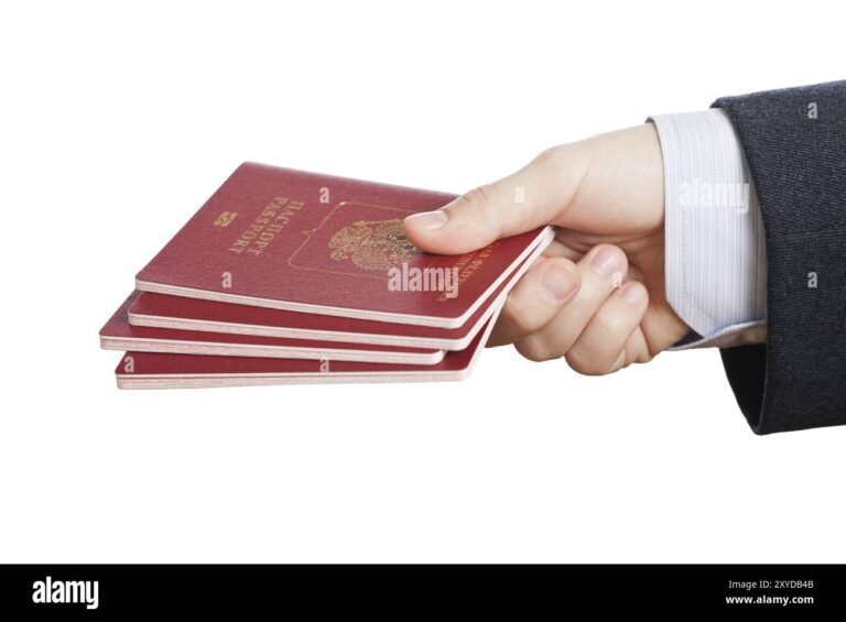 mani che tengono carta didentita e passaporto