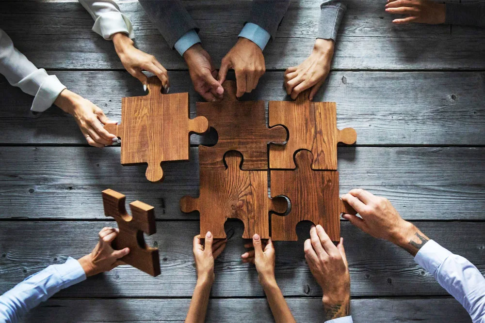 Chi Sono i Soci Lavoratori di Cooperative e Quali Sono i Loro Diritti