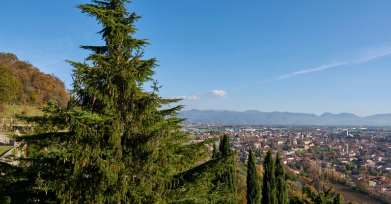 qual e il rapporto tra la citta di rimini e rovato