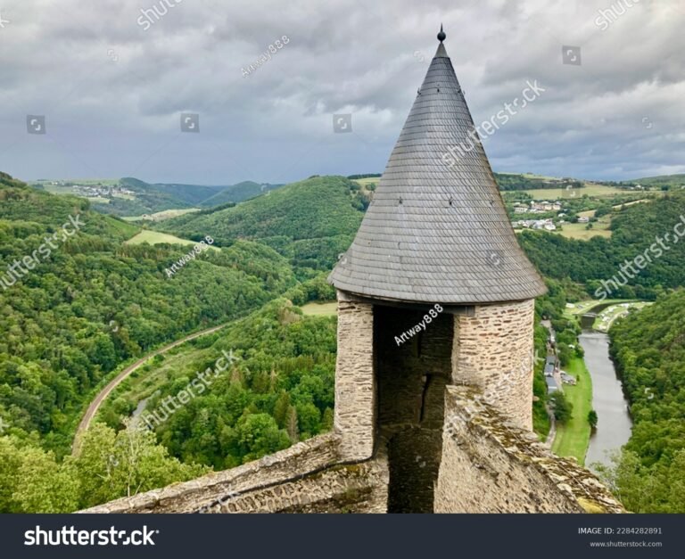 veduta panoramica del castello della torre